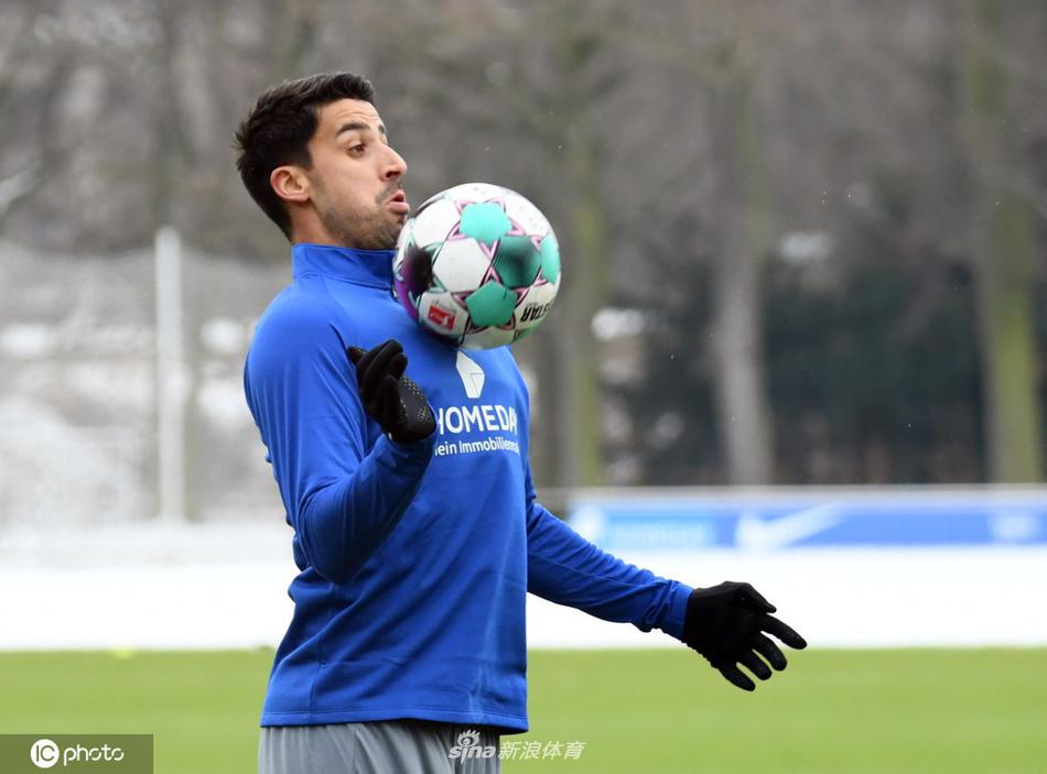 43 دولة تواجه خطر الغياب عن كأس العالم 2026 بسبب حظر السفر الأمريكي